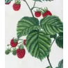 Portfolio of Three Rubus Engravings (Raspberry & Bramble) — Pancrace Bessa, c.1801–1819