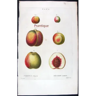 Pancrace Bessa – Complete Set of 8 Peach Engravings