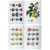 Four original hand-colored engravings of Prunus domestica by Pancrace Bessa, early 19th century botanical portfolio.