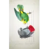 Yellow-Headed Parrot & Grey Parrot (Psittacus sp.) – Antique Hand-Colored Engraving by Pauquet