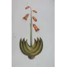 Exotic Botanical Masterpieces – 18th-Century Hand-Colored Watercolors (Set of 4)