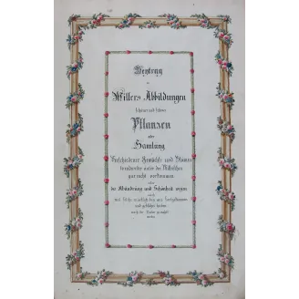 18th-Century Botanical Watercolors – Set of 4 Antique Masterpieces