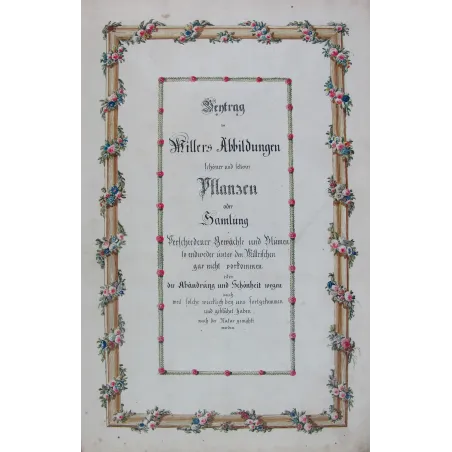 18th-Century Botanical Watercolors – Set of 4 Antique Masterpieces