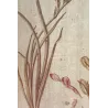 Pink Cunonia (Cunonia sp.) – Bold Hand-Colored Botanical Engraving, 18th Century