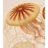 Before Kunstformen der Natur – Three Original Ernst Haeckel Medusae Lithographs (1879)