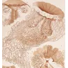 Before Kunstformen der Natur – Three Original Ernst Haeckel Medusae Lithographs (1879)