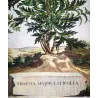 Thapsia Major (Thapsia latifolia) – Antique Hand-Colored Botanical Engraving by Abraham Munting (1696)