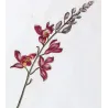 Helleborine (Epipactis sp.) – 18th Century Hand-Colored Botanical Engraving