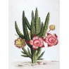 Exotic Botanical Masterpieces – 18th-Century Hand-Colored Watercolors (Set of 4)