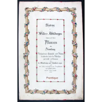 18th-Century Botanical Watercolors – Set of 4 Antique Masterpieces