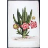 Exotic Botanical Masterpieces – 18th-Century Hand-Colored Watercolors (Set of 4)