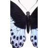 Blue Mormon & Green Swallowtail (Papilio polymnestor, Papilio peranthus) – Original Engraving by Pauquet, Butterflies (1835)
