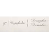 Demophon & Demodice Butterflies (Archaeoprepona demophon, Prepona laertes demodice) – Antique Engraving, Exotic Butterflies 1835