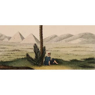 Antique Botanical Print – Pierre Jean François Turpin – Set with 2 Date Palm Phoenix dactylifera