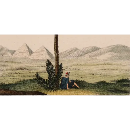 Antique Botanical Print – Pierre Jean François Turpin – Set with 2 Date Palm Phoenix dactylifera
