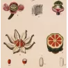 -Set with 2 -Tropical Passionflower and Clusia  *Passiflora quadrangularis* & *Clusia rosea* Turpin Antique Botanical Print