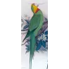 Green Rosella (*Platycercus caledonicus*) – Original lithograph by Green, Mathews (1910–27)
