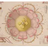Narcomedusae Jellyfish – Ernst Haeckel Original 1879 Marine Lithograph