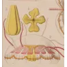 Narcomedusae Jellyfish – Ernst Haeckel Original 1879 Marine Lithograph