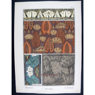 Water-Lily by Eugène Grasset – Original Art Nouveau Lithograph