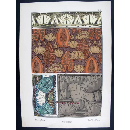 Art Nouveau Print Original  –  Water-Lily – Eugène Grasset