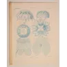 Blue Discomedusae Jellyfish (Linantha & Linerges) – Original ColorLithograph by Ernst Haeckel, Antique Print
