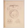 Collaspis Jellyfish (Discomedusae) – Original Lithograph by Ernst Haeckel, Antique Print