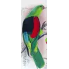 Red-winged Parrot (*Aprosmictus erythropterus*) – Original lithograph by Green, Mathews (1910–27)