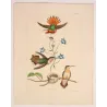 White-necked Jacobin (Florisuga mellivora) with Nest – Original Hand-Colored Engraving by Ludwig Reichenbach, Antique Print
