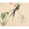 Historical Sylphae Hummingbirds with Tropical Orchid – Original Hand-Colored Engraving by Ludwig Reichenbach, Antique Print