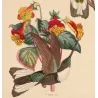 Prunell's Hummingbird (Bourcieria prunellii) – Original Hand-Colored Engraving by Ludwig Reichenbach, Antique Print
