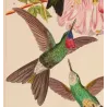 Sylphae Hummingbirds  – Original Hand-Colored Engraving by Ludwig Reichenbach, Antique Print