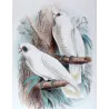 Little Corella (*Licmetis tenuirostris*) – Original lithograph by Green, Mathews (1910–27)