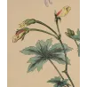 Blue-green lobed foliage of Geranium grandiflorum modelled with transparent watercolour