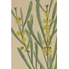 Golden spherical flower heads of Mimosa stricta with delicate transparent hand colouring