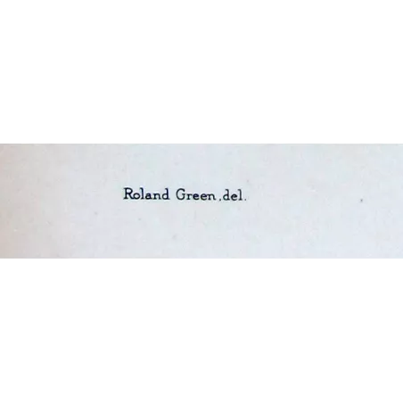 Red-shouldered Grass Parrot by Roland Green – The Birds of Australia