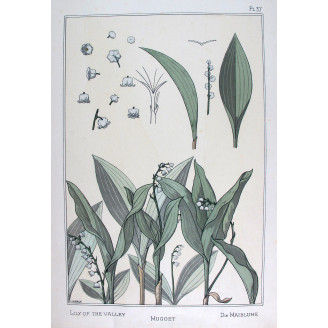 Lily of the Valley – Eugène Grasset (1896) | Botanical Art Nouveau Print