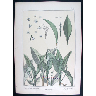 Lily of the Valley – Eugène Grasset (1896) | Botanical Art Nouveau Print