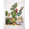 Silkworm (*Bombyx Mori*) on Mulberry (*Morus alba*) Hand-colored engraving by Jacob L'Admiral (1774)