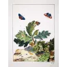 White-letter Hairstreak (*Satyrium w-album*) on Oak (*Quercus*) Hand-colored engraving by Jacob L'Admiral (1774)