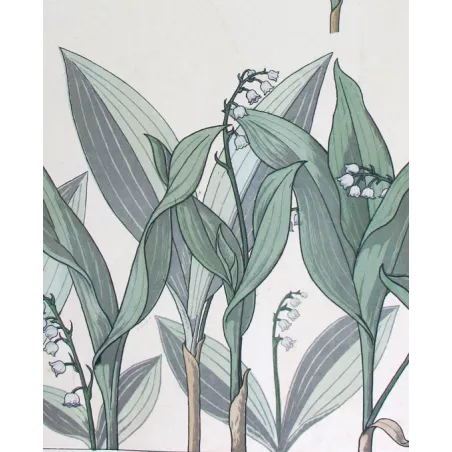Art Nouveau Print –  Eugène Grasset  –  Lily of the Valley