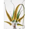 Ferns – Set of 22 Original Antique Botanical Lithographs by Turpin (c. 1830)