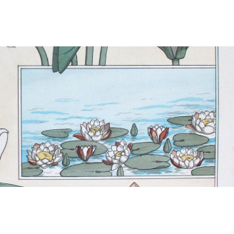 Water-Lily (Plate 7) – Eugène Grasset (1896) | Certified Art Nouveau Lithograph