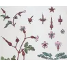 Eugène Grasset – Wild Geranium (Plate 12), Original Lithograph from La Plante (1896)