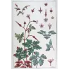 Eugène Grasset – Wild Geranium (Plate 12), Original Lithograph from La Plante (1896)