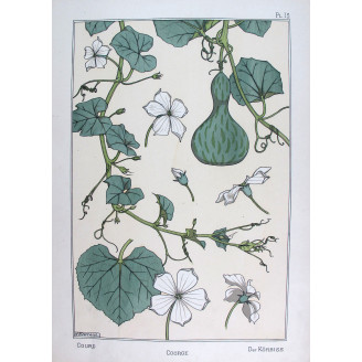 Gourd (Plate 13) – Eugène Grasset (1896) | Original Botanical Lithograph