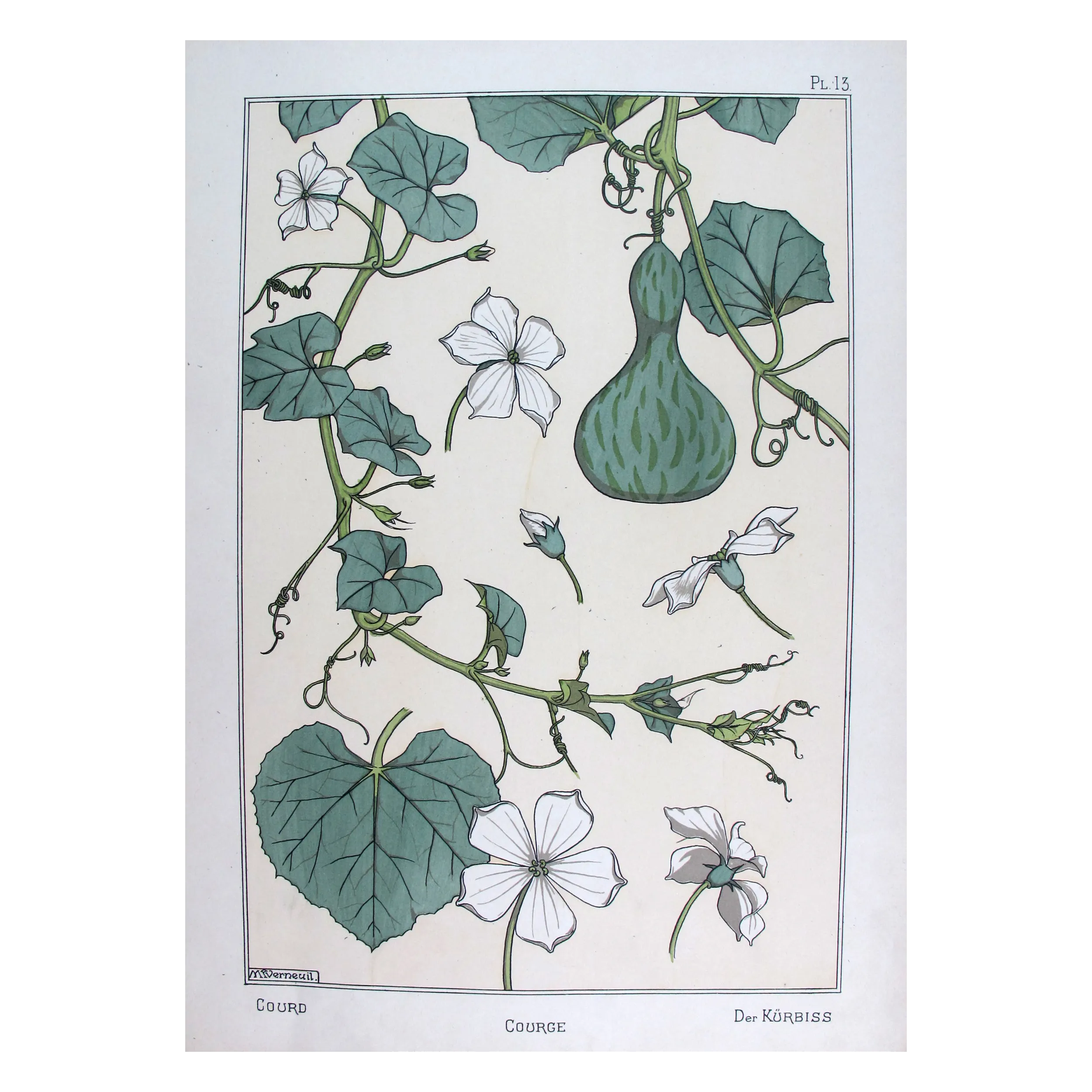 Gourd –  Eugène Grasset –  Original Art Nouveau Print
