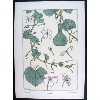Gourd (Plate 13) – Eugène Grasset (1896) | Original Botanical Lithograph