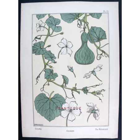 Gourd –  Eugène Grasset –  Original Art Nouveau Print