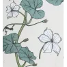 Eugène Grasset – Gourd (Plate 13), Original Lithograph from La Plante (1896)